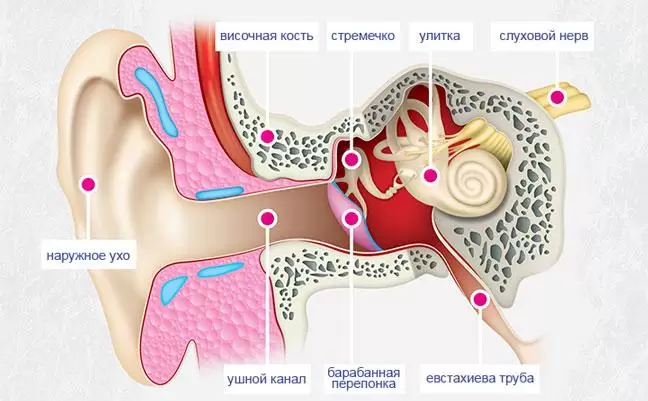Шум в ушах (тиннитус)