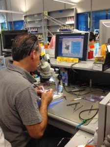 Рекомендації по використанню слухових апаратів