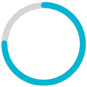 Руководство пользователя SurfLink Mobile